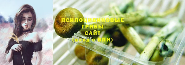 PSILOCYBIN Балахна